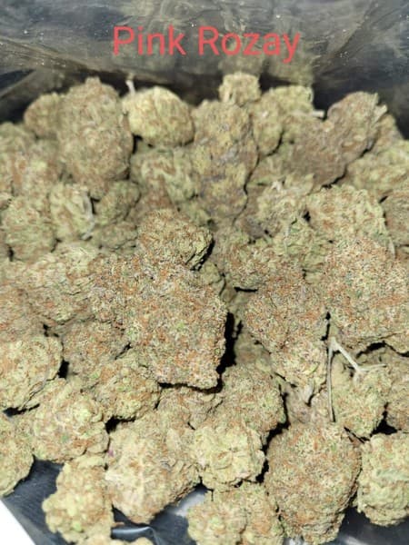 Pink Rozay cannabis strain, community photo 4