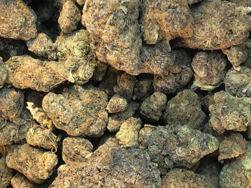Pink Runtz cannabis strain, community photo 1
