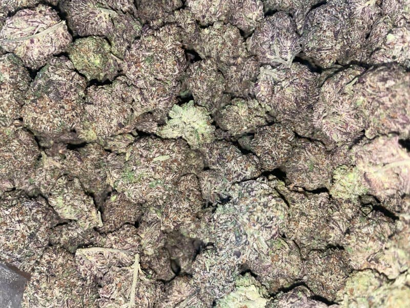Pink Runtz cannabis strain, community photo 2