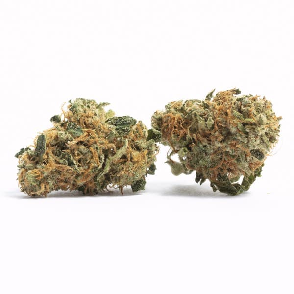 PK Crasher cannabis strain, community photo 1