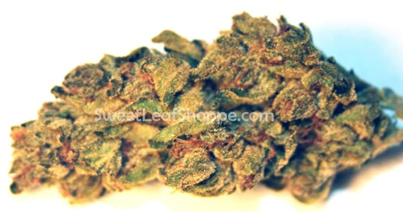 Platinum OG cannabis strain, community photo 2