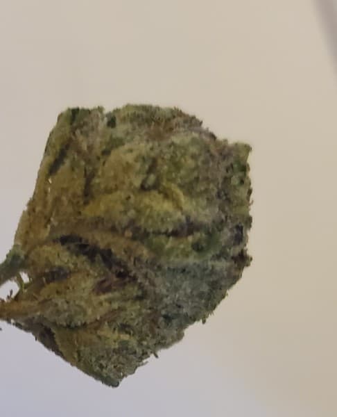 Platinum OG cannabis strain, community photo 5