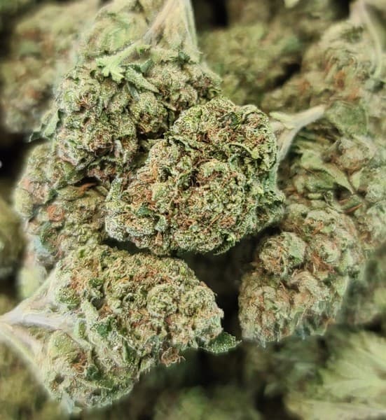 Platinum OG cannabis strain, community photo 6