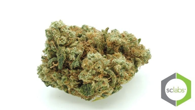 Platinum OG cannabis strain, community photo 8