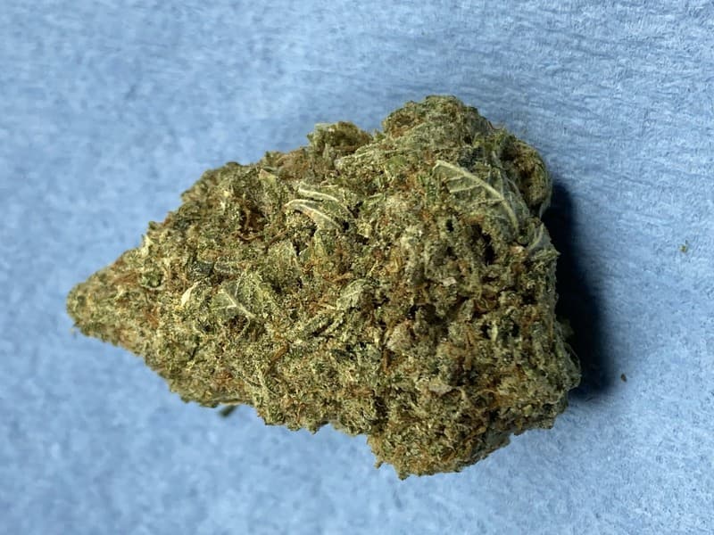 Platinum OG cannabis strain, community photo 9