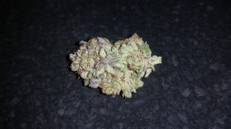 Pure Kush cannabis strain, community photo 1