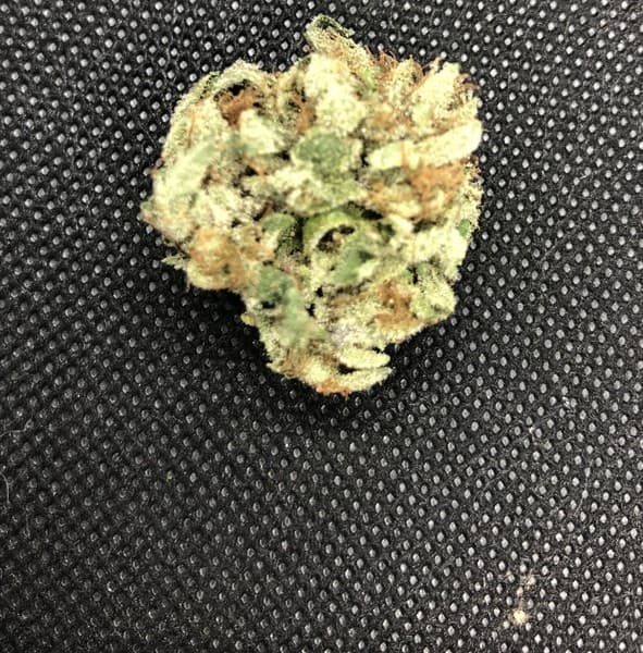 Pure Kush cannabis strain, community photo 3