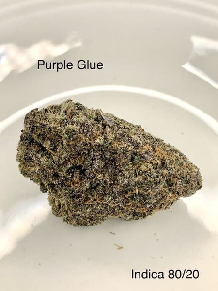 Purple Glue cannabis strain, community photo 3