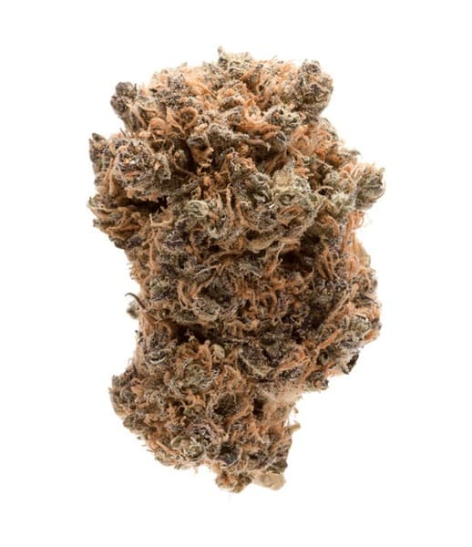 Purple Jack cannabis strain, community photo 1