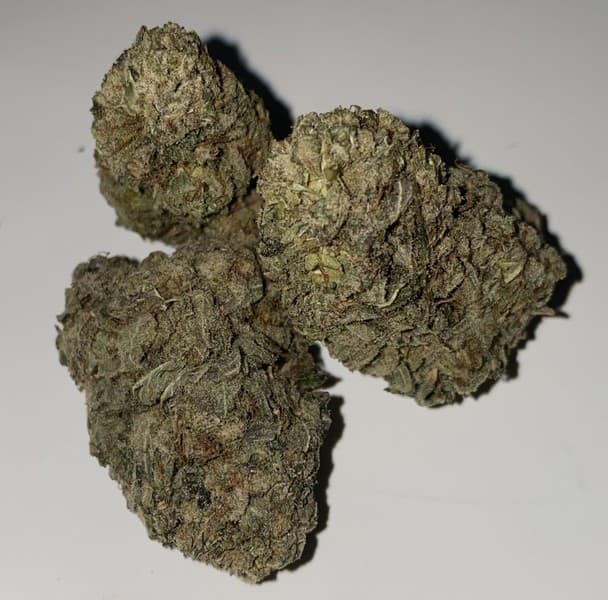 Purple Kush cannabis strain, community photo 1