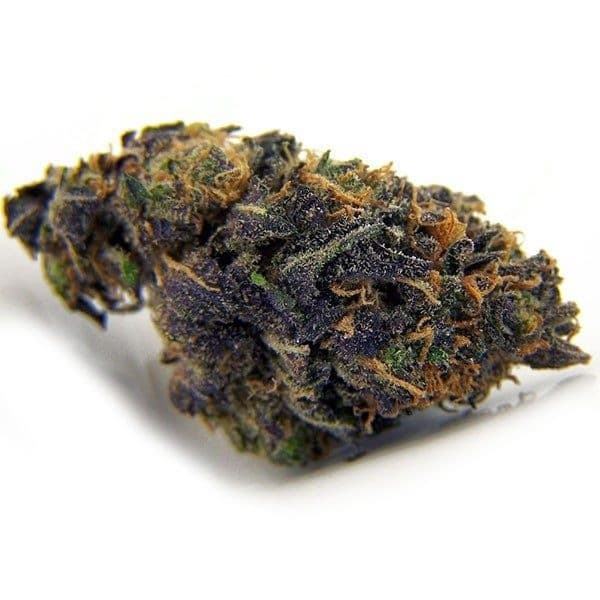 Purple Kush cannabis strain, community photo 3