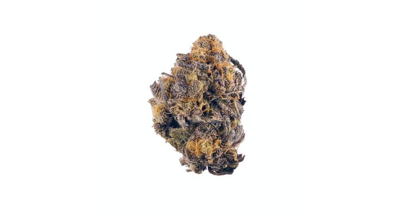 Purple Kush cannabis strain, community photo 4