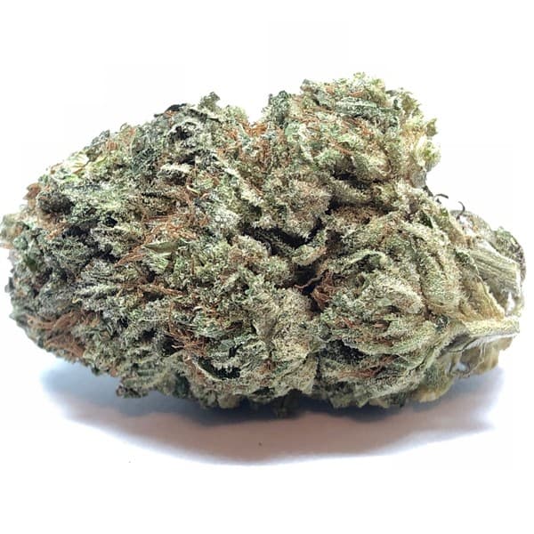 Purple Kush cannabis strain, community photo 6