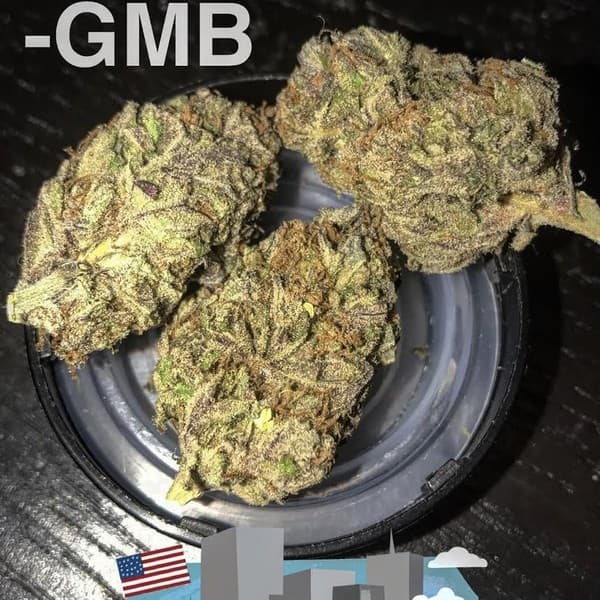 Purple Kush cannabis strain, community photo 7