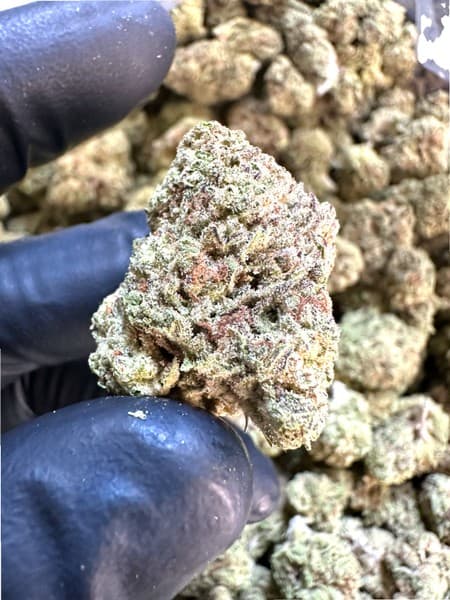 Rainbow cannabis strain, community photo 1
