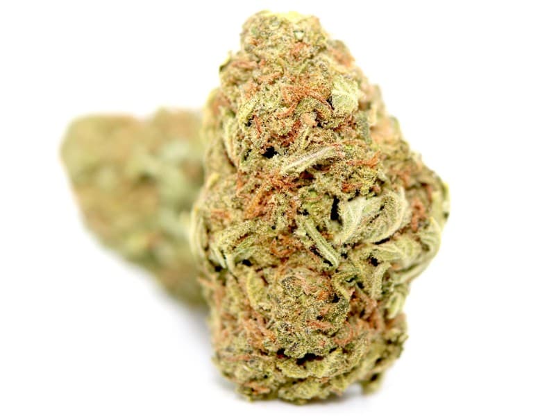 Rainbow cannabis strain, community photo 2