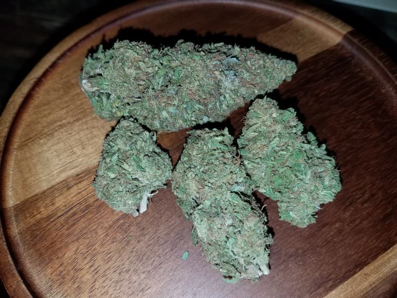 Rainbow cannabis strain, community photo 3