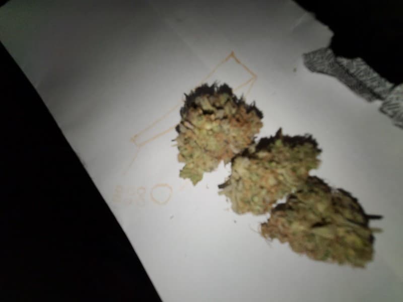 Rainbow cannabis strain, community photo 6