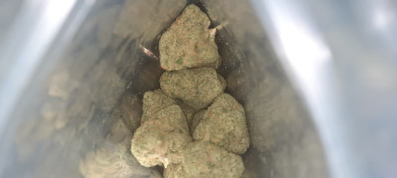 Rainbow cannabis strain, community photo 7