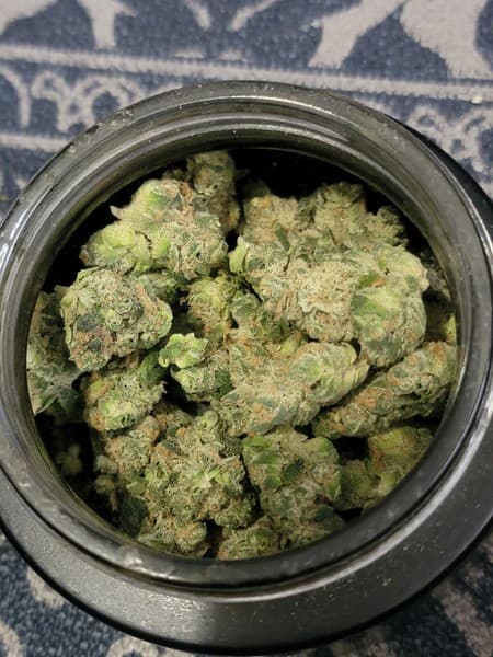 Rainbow Pie cannabis strain, community photo 1