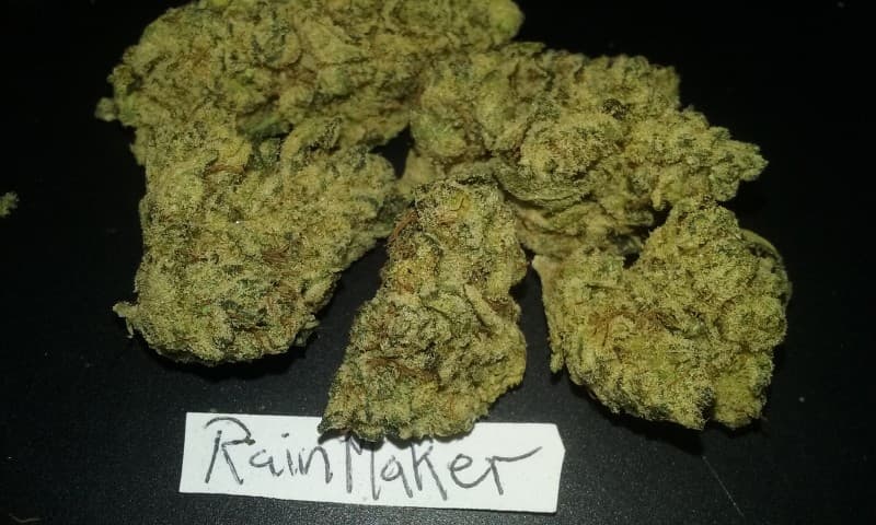 Rainmaker cannabis strain, community photo 2