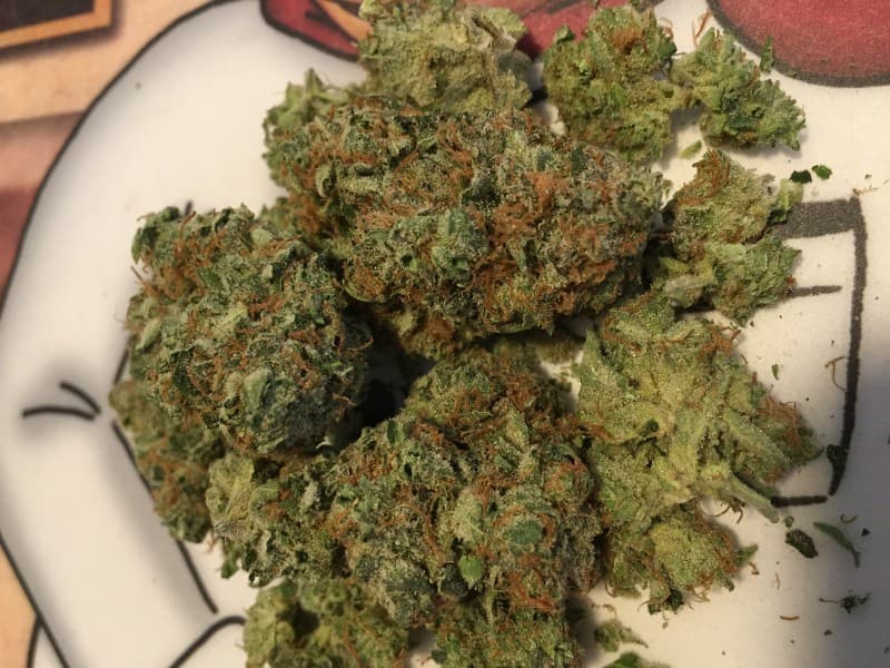 Rainmaker cannabis strain, community photo 3