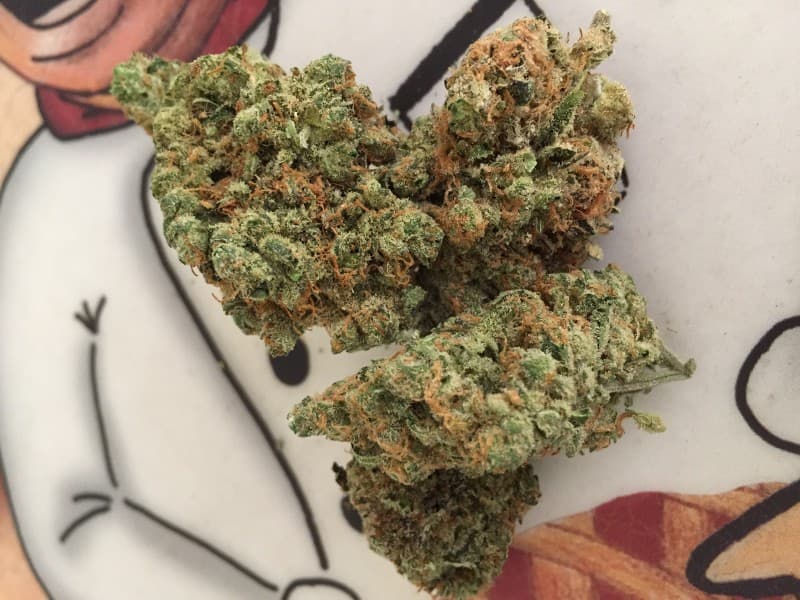 Rainmaker cannabis strain, community photo 4