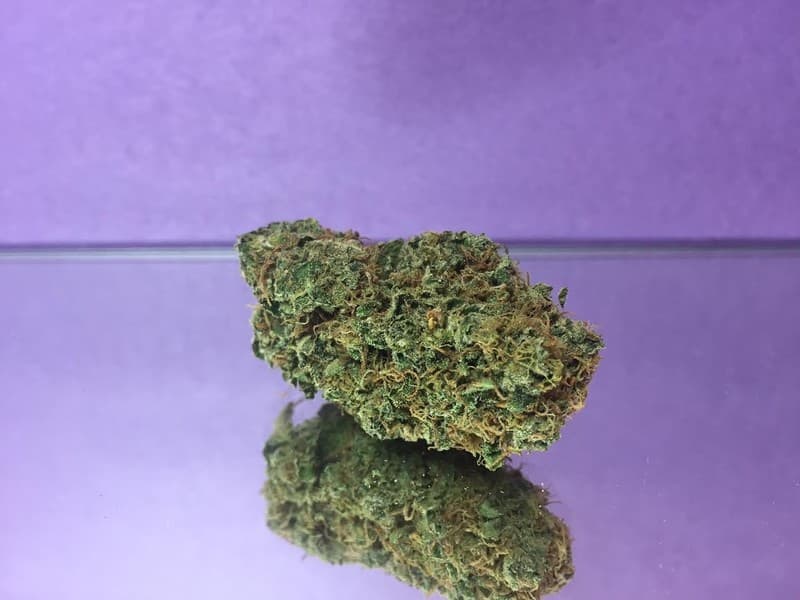 Ray Charles cannabis strain, community photo 1