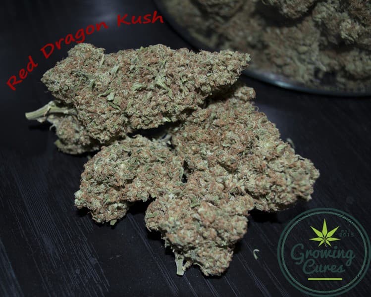 Red Dragon cannabis strain, community photo 2