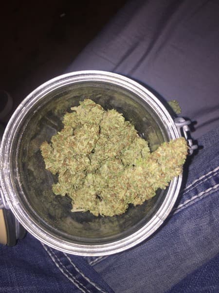 Red Dragon cannabis strain, community photo 3