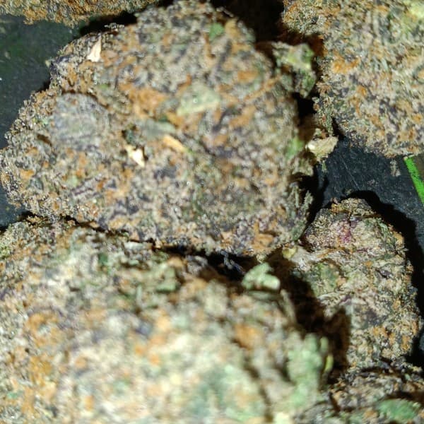 Red Runtz cannabis strain, community photo 2