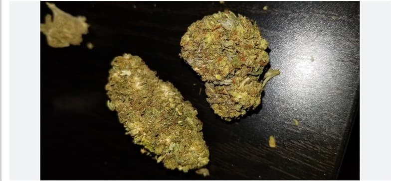 Riddler cannabis strain, community photo 1