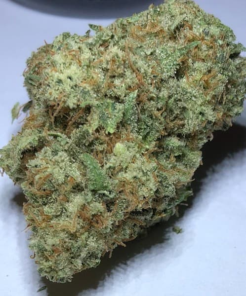 Rocket Fuel cannabis strain, community photo 1
