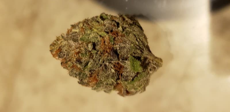 Rocket Fuel cannabis strain, community photo 2