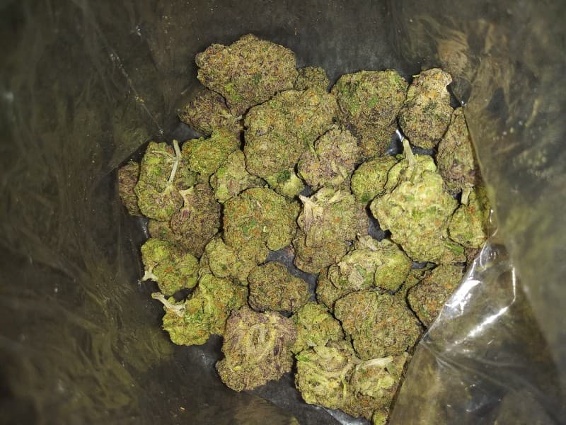 Rocket Fuel cannabis strain, community photo 3