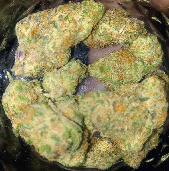 Rocky Road cannabis strain, community photo 1