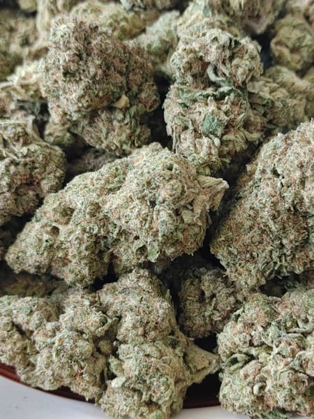 Rocky Road cannabis strain, community photo 2