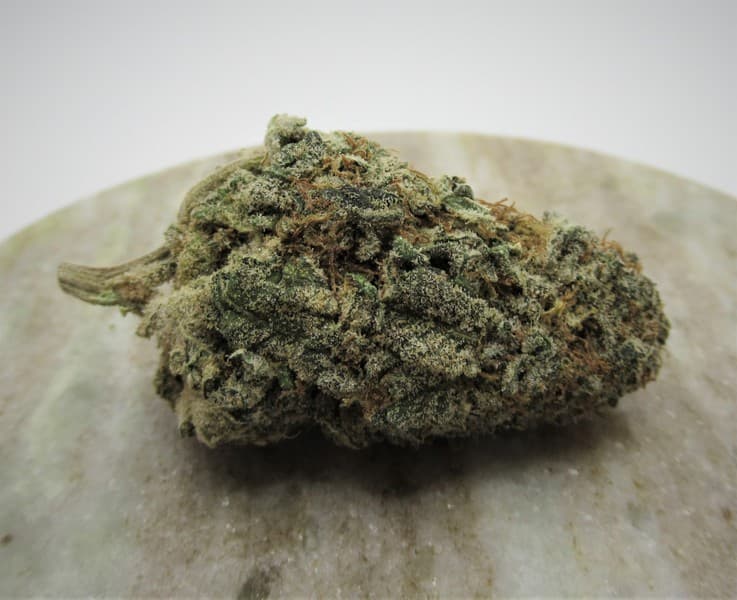Romulan cannabis strain, community photo 10