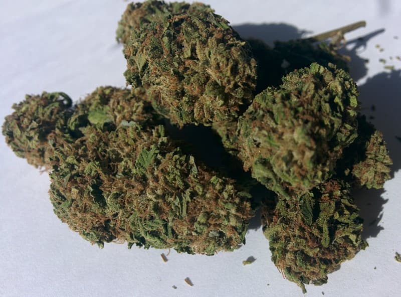 Romulan cannabis strain, community photo 7