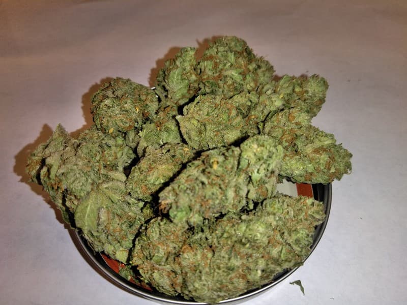 Romulan cannabis strain, community photo 8