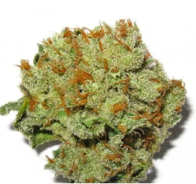 Romulan cannabis strain, community photo 9