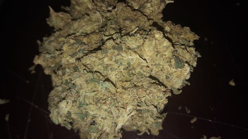 Royal Kush cannabis strain, community photo 1