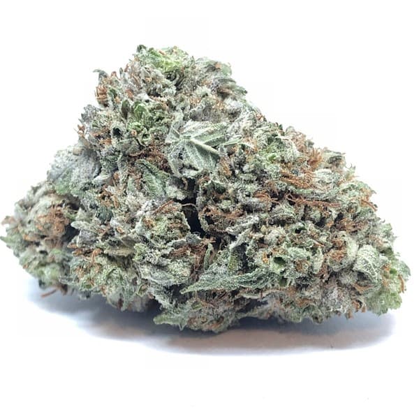 Royal Kush cannabis strain, community photo 2