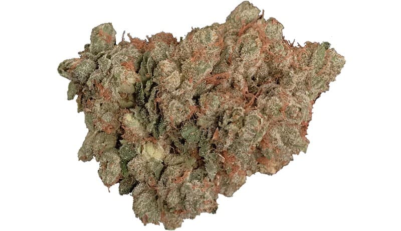 Royal Kush cannabis strain, community photo 4