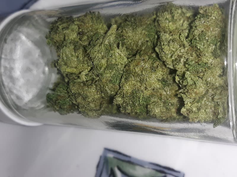 Royal Kush cannabis strain, community photo 5
