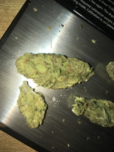 Royal Kush cannabis strain, community photo 6