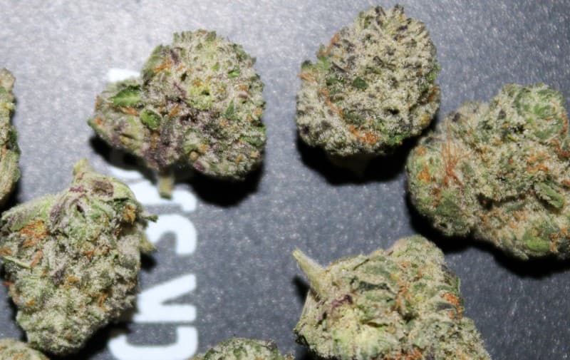 Scotts OG cannabis strain, community photo 2