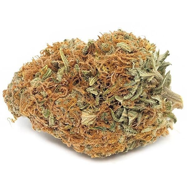 Sensi Star cannabis strain, community photo 1