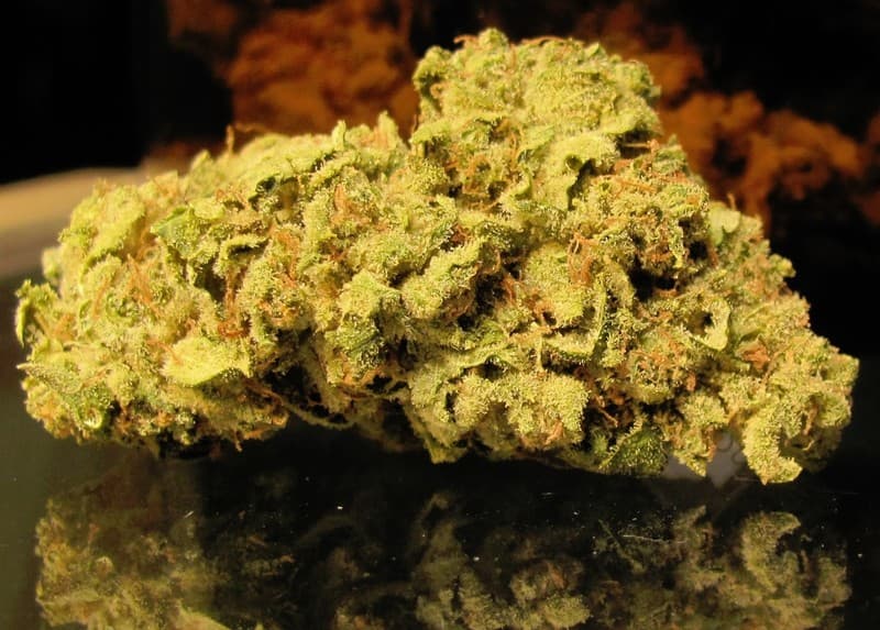 Sensi Star cannabis strain, community photo 2