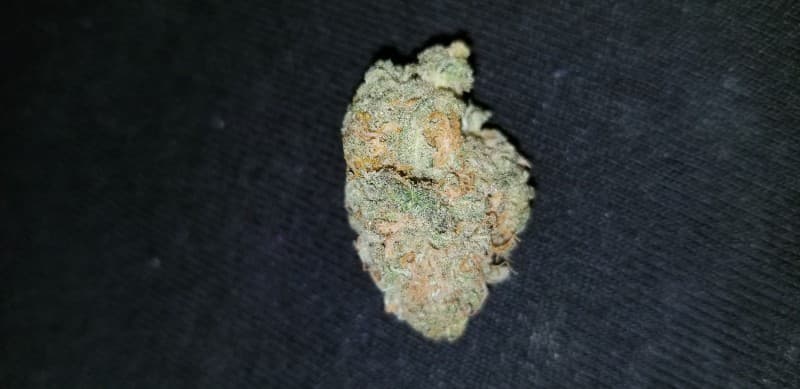 Sensi Star cannabis strain, community photo 3